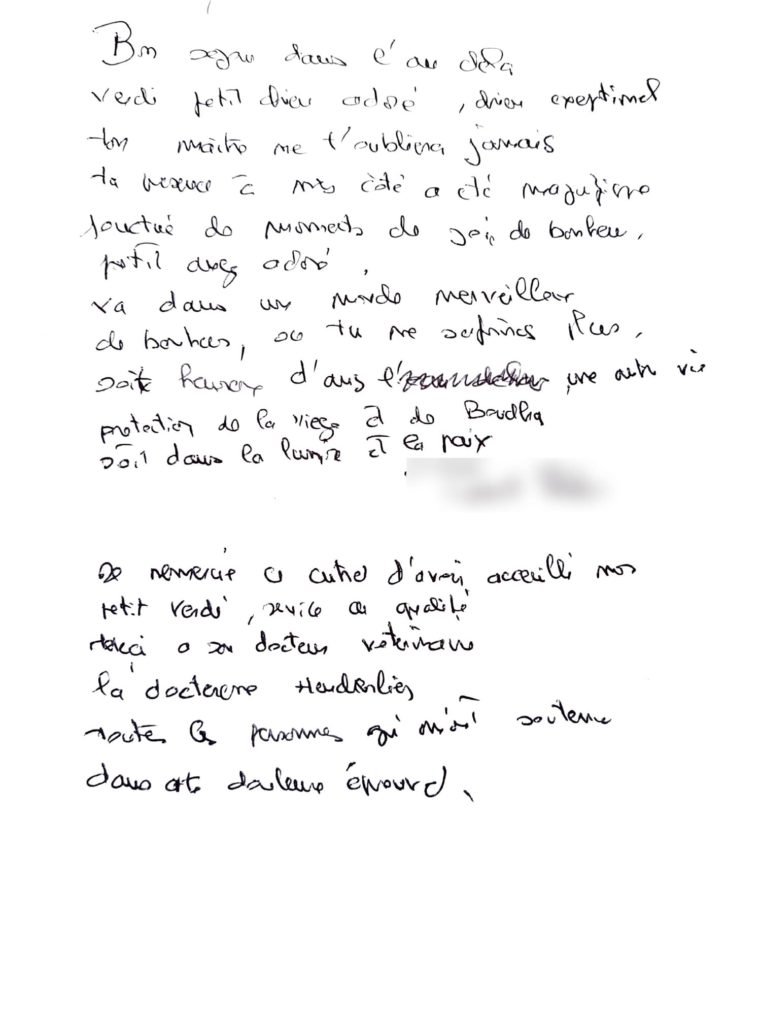 Avis incinération animal dans le Vaucluse