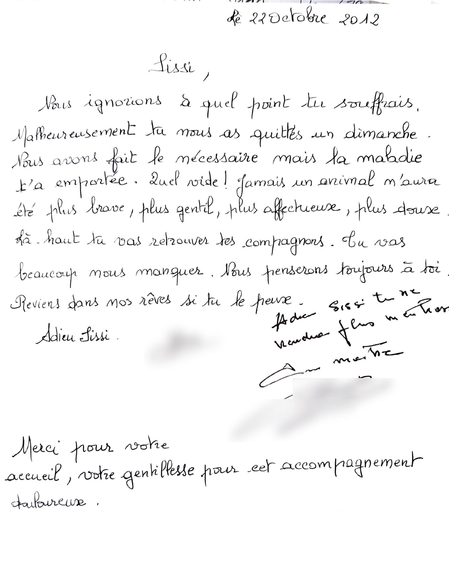 Avis crémation animal dans le Vaucluse