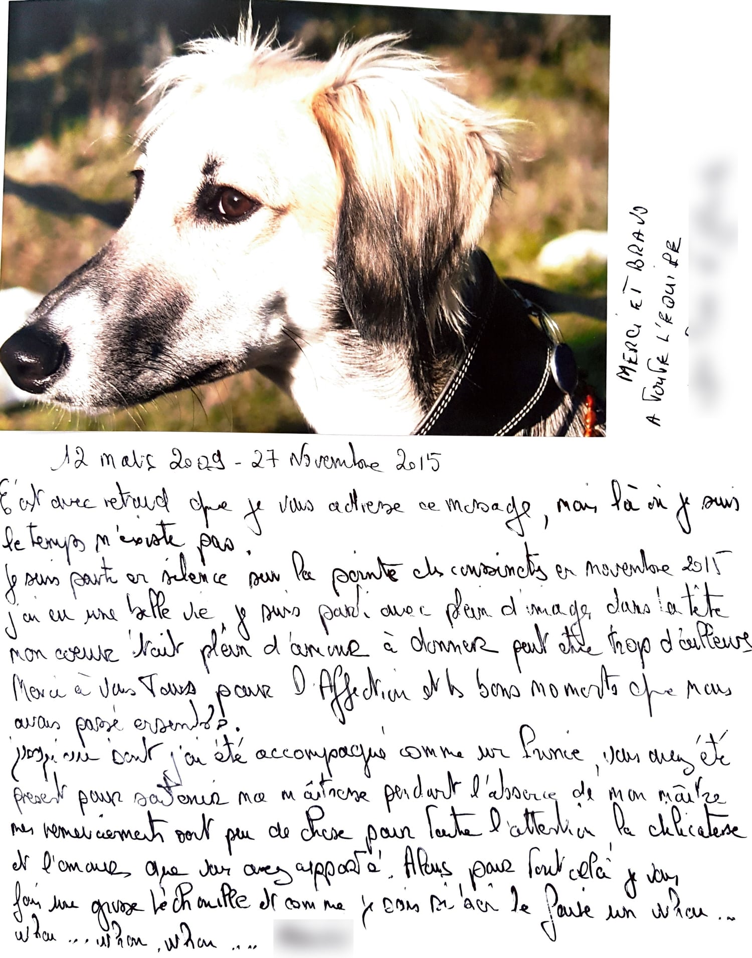 Avis incinération chien à Sorgues